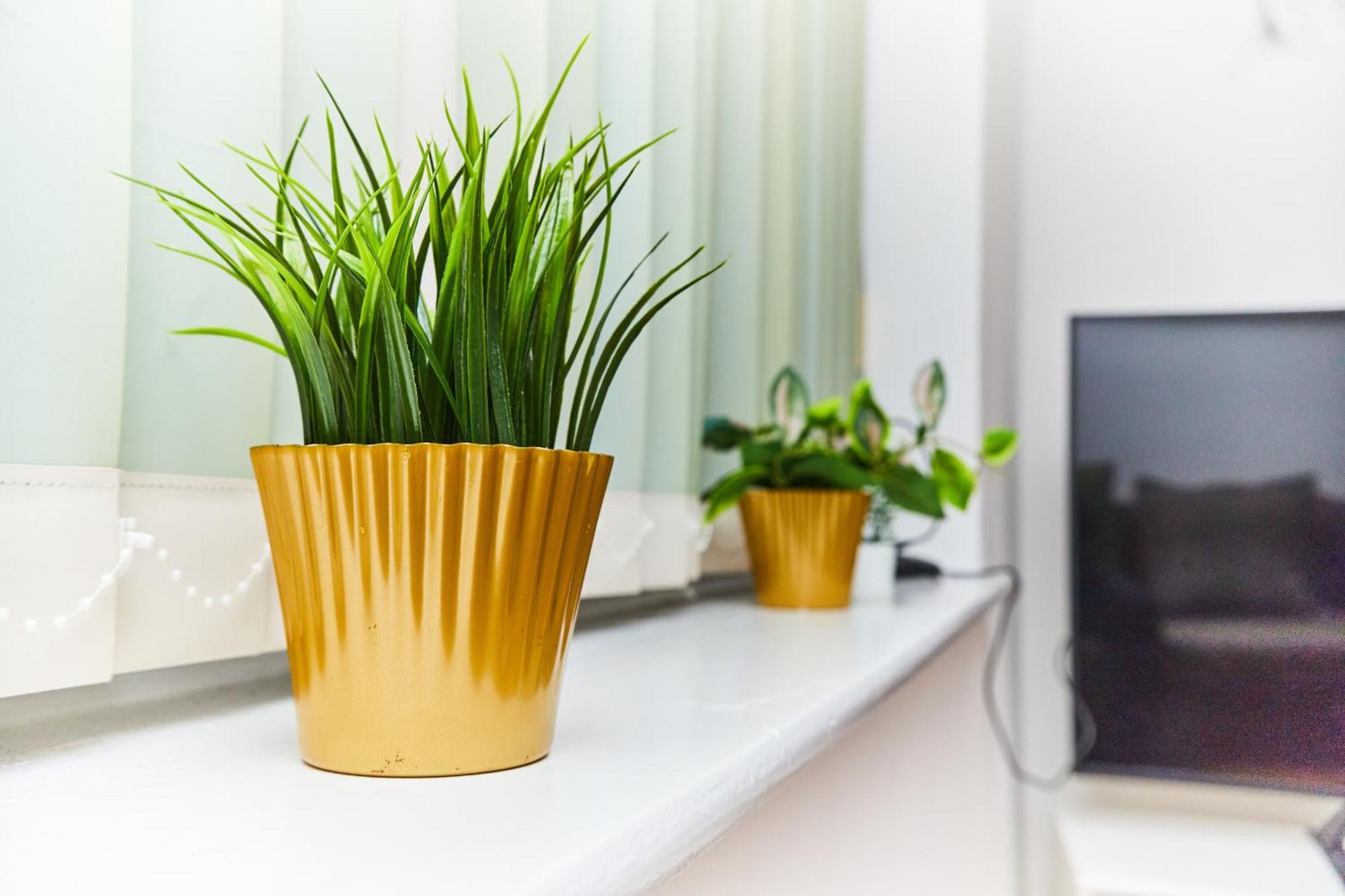 Emerald Apartments A Star Proximity Лондон Экстерьер фото